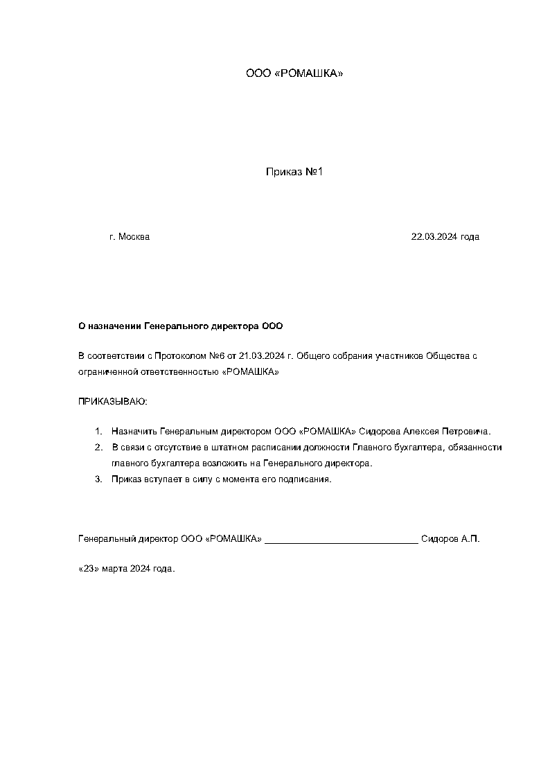 Приказ о назначении директора с функциями бухгалтера